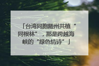 台湾同胞随州共植“同根林”，那是跨越海峡的“绿色情诗”