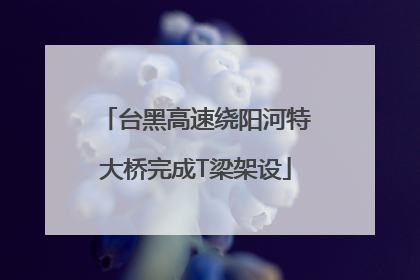 台黑高速绕阳河特大桥完成T梁架设