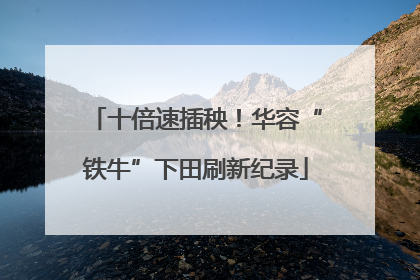 十倍速插秧！华容“铁牛”下田刷新纪录