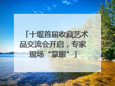 十堰首届收藏艺术品交流会开启，专家现场“掌眼”