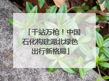 千站万枪！中国石化构建湖北绿色出行新格局