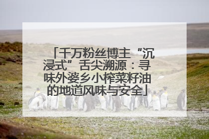 千万粉丝博主“沉浸式”舌尖溯源：寻味外婆乡小榨菜籽油的地道风味与安全
