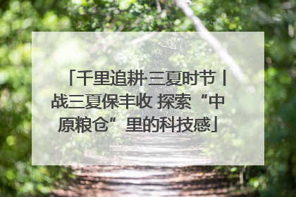 千里追耕·三夏时节丨战三夏保丰收 探索“中原粮仓”里的科技感