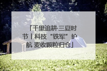 千里追耕·三夏时节丨科技“铁军”护航 麦收颗粒归仓
