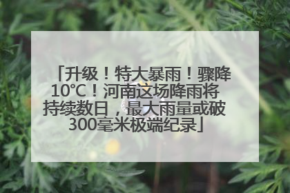 升级！特大暴雨！骤降10℃！河南这场降雨将持续数日，最大雨量或破300毫米极端纪录