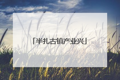 半扎古镇产业兴