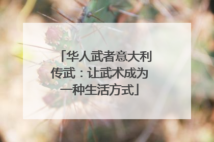 华人武者意大利传武：让武术成为一种生活方式