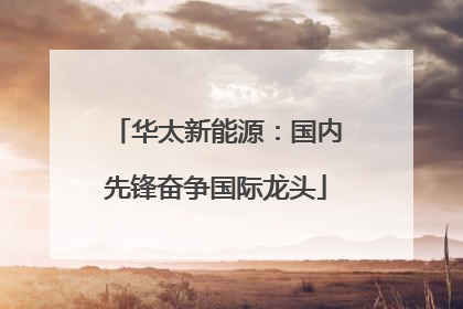 华太新能源：国内先锋奋争国际龙头