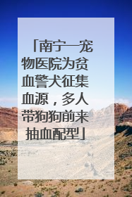南宁一宠物医院为贫血警犬征集血源，多人带狗狗前来抽血配型
