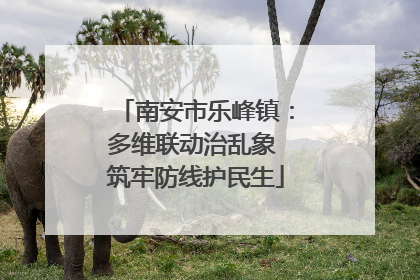 南安市乐峰镇：多维联动治乱象 筑牢防线护民生