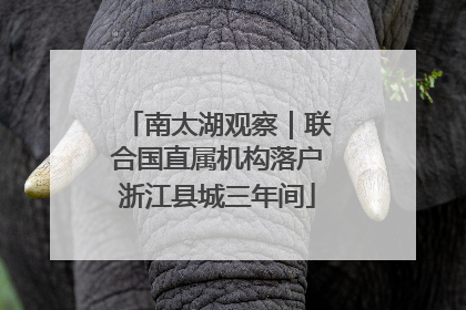 南太湖观察｜联合国直属机构落户浙江县城三年间