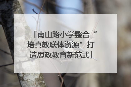 南山路小学整合“培真教联体资源”打造思政教育新范式