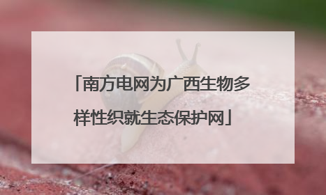 南方电网为广西生物多样性织就生态保护网