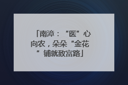 南漳：“医”心向农，朵朵“金花”铺就致富路