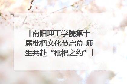 南阳理工学院第十一届枇杷文化节启幕 师生共赴“枇杷之约”