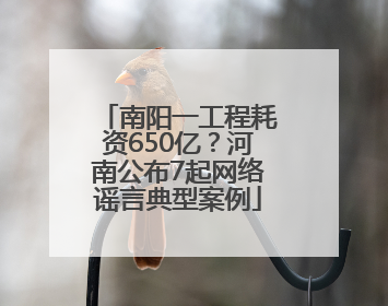 南阳一工程耗资650亿？河南公布7起网络谣言典型案例