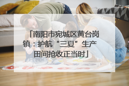 南阳市宛城区黄台岗镇：护航“三夏”生产 田间抢收正当时