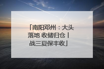 南阳邓州：大头落地 收储归仓丨战三夏保丰收