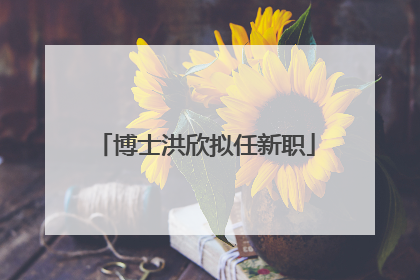 博士洪欣拟任新职