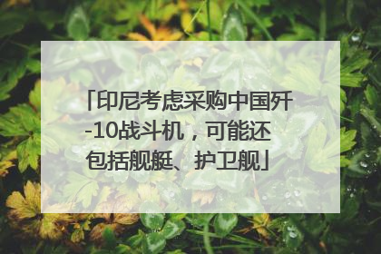 印尼考虑采购中国歼-10战斗机，可能还包括舰艇、护卫舰