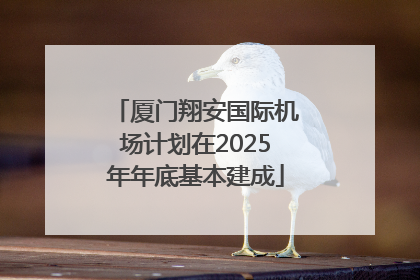 厦门翔安国际机场计划在2025年年底基本建成