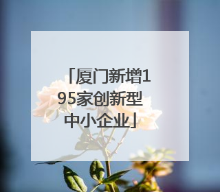 厦门新增195家创新型中小企业