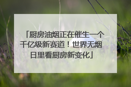 厨房油烟正在催生一个千亿级新赛道！世界无烟日里看厨房新变化