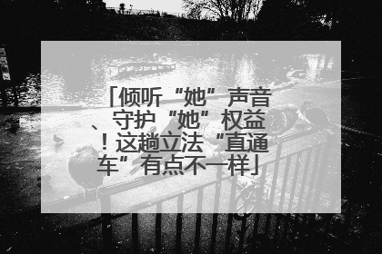 倾听“她”声音、守护“她”权益！这趟立法“直通车”有点不一样