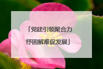 党建引领聚合力 纾困解难促发展