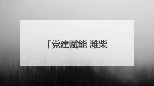 党建赋能 潍柴雷沃助推农业现代化“加速跑”