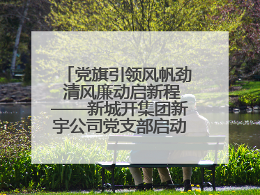 党旗引领风帆劲 清风廉动启新程——新城开集团新宇公司党支部启动“清风廉动党旗红”系列活动