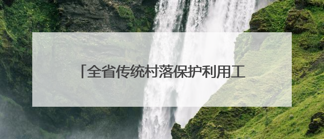 全省传统村落保护利用工作现场推进会在松阳召开