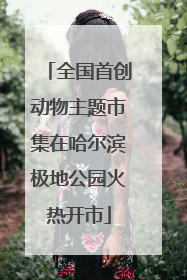 全国首创动物主题市集在哈尔滨极地公园火热开市