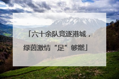 六十余队竞逐港城，绿茵激情“足”够燃