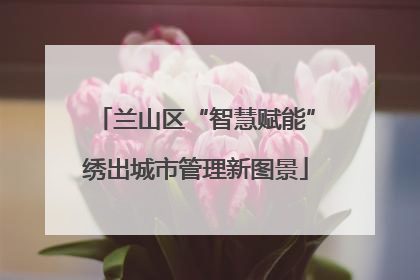 兰山区“智慧赋能”绣出城市管理新图景