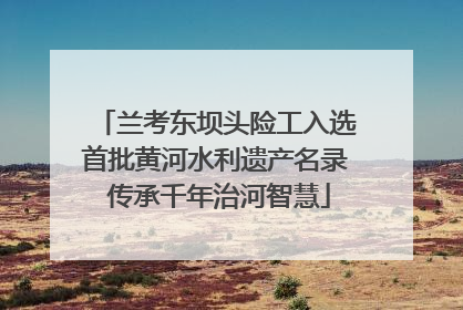 兰考东坝头险工入选首批黄河水利遗产名录 传承千年治河智慧