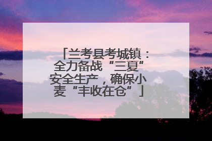 兰考县考城镇：全力备战“三夏”安全生产，确保小麦“丰收在仓”