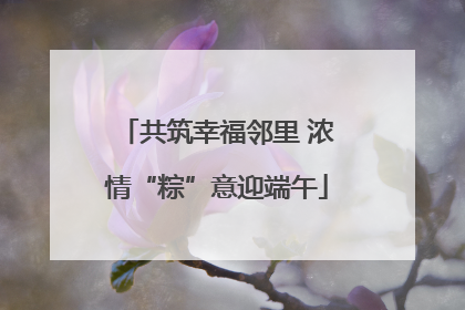 共筑幸福邻里 浓情“粽”意迎端午