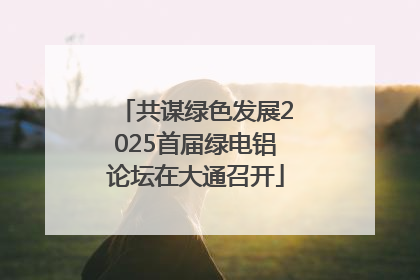 共谋绿色发展2025首届绿电铝论坛在大通召开