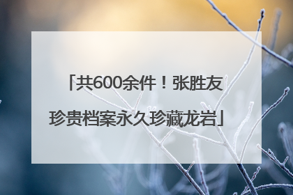 共600余件！张胜友珍贵档案永久珍藏龙岩