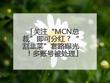 关注“MCN总裁”即可分红？“割韭菜”套路曝光！多账号被处理