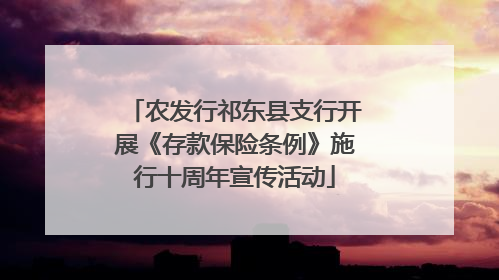 农发行祁东县支行开展《存款保险条例》施行十周年宣传活动