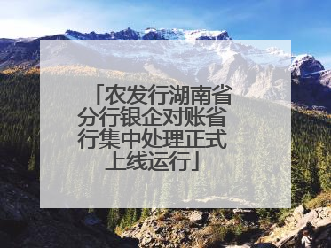农发行湖南省分行银企对账省行集中处理正式上线运行