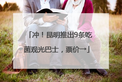 冲！昆明推出9条吃菌观光巴士，票价→