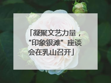 凝聚文艺力量，“印象银滩”座谈会在乳山召开