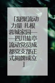 凝聚流动力量 扎根蓉城家园——四川盐亭流动党员成都党支部正式揭牌成立