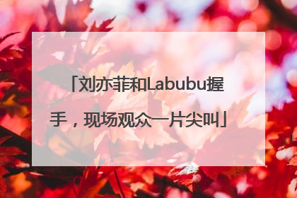 刘亦菲和Labubu握手，现场观众一片尖叫