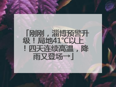 刚刚，淄博预警升级！局地41℃以上！四天连续高温，降雨又登场→