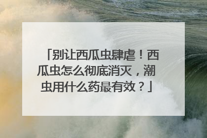 别让西瓜虫肆虐！西瓜虫怎么彻底消灭，潮虫用什么药最有效？