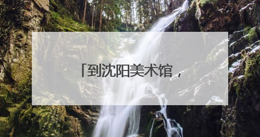 到沈阳美术馆，看法国画家大展